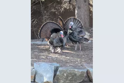 2060 125th Lane NW, Coon Rapids, MN 55448 - Photo 29