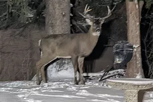 2060 125th Ln NW, Coon Rapids, MN 55448 - Photo 31