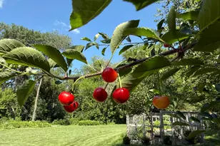 5435 Howard St NW, Rochester, MN 55901 - Photo 47