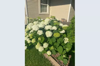 3262 Kahlen Avenue NE, Saint Michael, MN 55376 - Photo 39