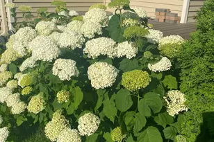 3262 Kahlen Ave NE, Saint Michael, MN 55376 - Photo 39