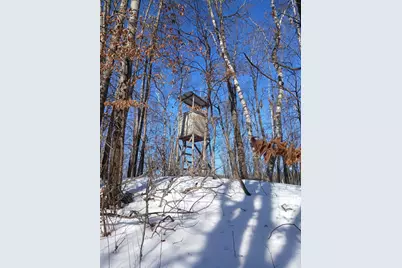 26904 Cedar Road, Cushing, MN 56443 - Photo 65