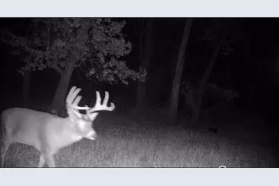 26904 Cedar Road, Cushing, MN 56443 - Photo 61