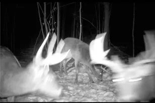 26904 Cedar Rd, Cushing, MN 56443 - Photo 59