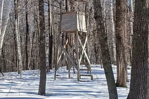 26904 Cedar Rd, Cushing, MN 56443 - Photo 19