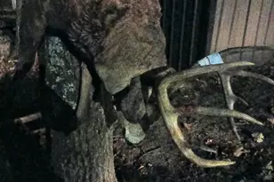 26904 Cedar Rd, Cushing, MN 56443 - Photo 63