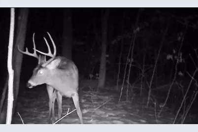 26904 Cedar Road, Cushing, MN 56443 - Photo 55