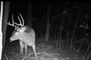 26904 Cedar Rd, Cushing, MN 56443 - Photo 55