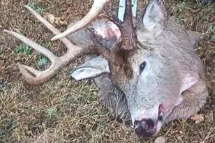 26904 Cedar Rd, Cushing, MN 56443 - Photo 57