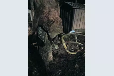 26904 Cedar Road, Cushing, MN 56443 - Photo 63