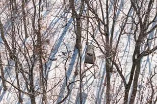 26904 Cedar Rd, Cushing, MN 56443 - Photo 53