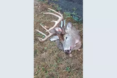 26904 Cedar Road, Cushing, MN 56443 - Photo 57