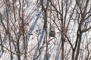 26904 Cedar Rd, Cushing, MN 56443 - Photo 15