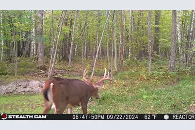 5415 24th Avenue NE, Longville, MN 56655 - Photo 35