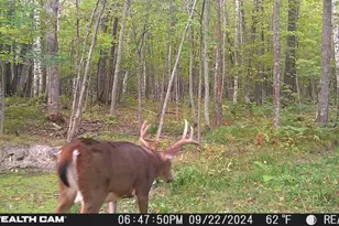 5415 24th Ave NE, Longville, MN 56655 - Photo 35