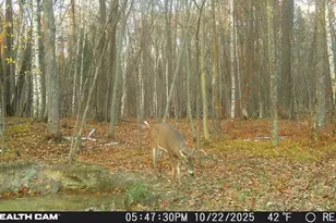 5415 24th Ave NE, Longville, MN 56655 - Photo 39