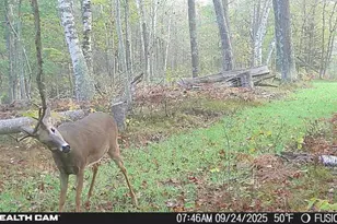 5415 24th Ave NE, Longville, MN 56655 - Photo 37