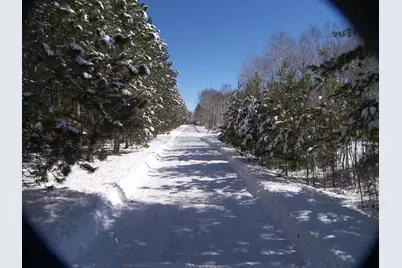 Xxx White Oak Dr (Lot 306), Siren, WI 54893 - Photo 19