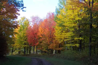 Xxx N Basswood Dr (502), Siren, WI 54893 - Photo 15