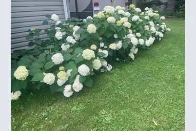 43770 Garden Avenue, Harris, MN 55032 - Photo 87