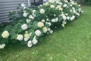 43770 Garden Ave, Harris, MN 55032 - Photo 87