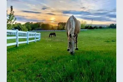 7900 Wind Ridge Trail, Minnetrista, MN 55364 - Photo 21
