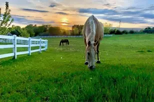 7900 Wind Ridge Trail, Minnetrista, MN 55364 - Photo 21