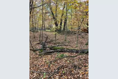 Lot 3 Tiger Street NW, Zimmerman, MN 55398 - Photo 15