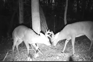 438 280th St, Osceola, WI 54020 - Photo 29