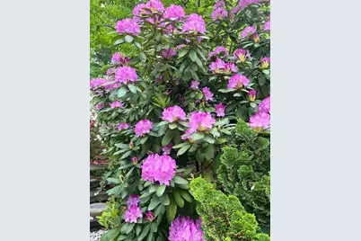 509 4th Avenue NE, Byron, MN 55920 - Photo 53