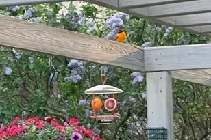 509 4th Ave NE, Byron, MN 55920 - Photo 51