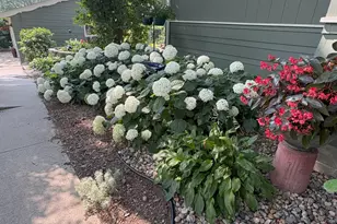 1401 N 4th St, Montevideo, MN 56265 - Photo 45