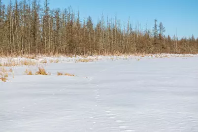 Tbd 36th Avenue SW, Pine River, MN 56474 - Photo 3