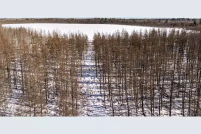 Tbd 36th Avenue SW, Pine River, MN 56474 - Photo 15