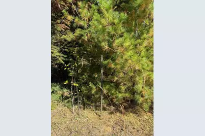 Tbd Moonlight Lane SW, Bemidji, MN 56601 - Photo 5