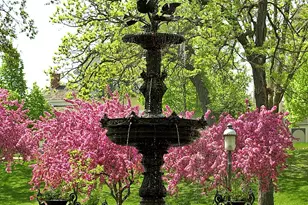 5 Irvine Park, Saint Paul, MN 55102 - Photo 29