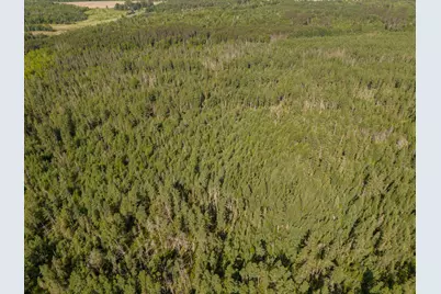 Tbd N Plantangenet Road SE, Bemidji, MN 56601 - Photo 21