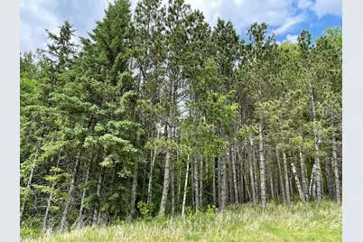 Tbd N Plantangenet Road SE, Bemidji, MN 56601 - Photo 7