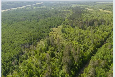 Tbd N Plantangenet Road SE, Bemidji, MN 56601 - Photo 31