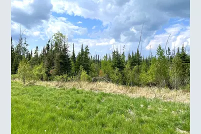 Tbd N Plantangenet Road SE, Bemidji, MN 56601 - Photo 3
