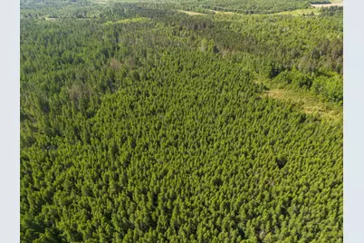 Tbd N Plantangenet Road SE, Bemidji, MN 56601 - Photo 33