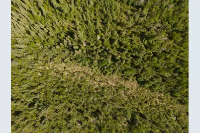 Tbd N Plantangenet Road SE, Bemidji, MN 56601 - Photo 11