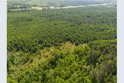 Tbd N Plantangenet Road SE, Bemidji, MN 56601 - Photo 29