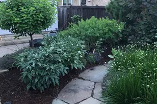 5325 Chowen Ave S, Minneapolis, MN 55410 - Photo 27