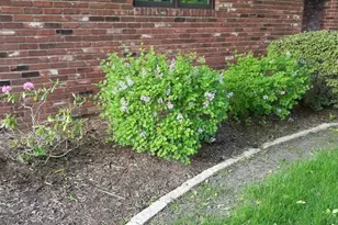 1795 Lake Valentine Rd, Arden Hills, MN 55112 - Photo 43