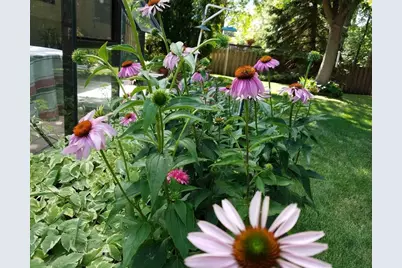 1795 Lake Valentine Road, Arden Hills, MN 55112 - Photo 51