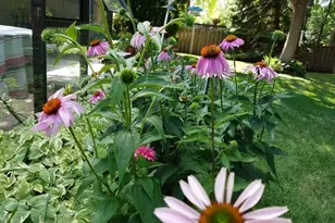 1795 Lake Valentine Rd, Arden Hills, MN 55112 - Photo 51