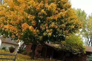 1795 Lake Valentine Rd, Arden Hills, MN 55112 - Photo 47