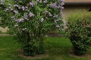 1795 Lake Valentine Rd, Arden Hills, MN 55112 - Photo 49