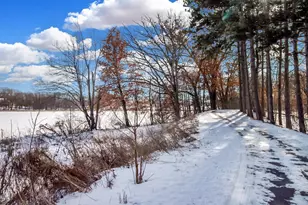 14120 56th Ave N, Plymouth, MN 55446 - Photo 53